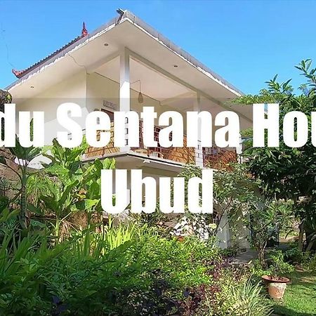 فندق Madu Sentana House أوبود المظهر الخارجي الصورة