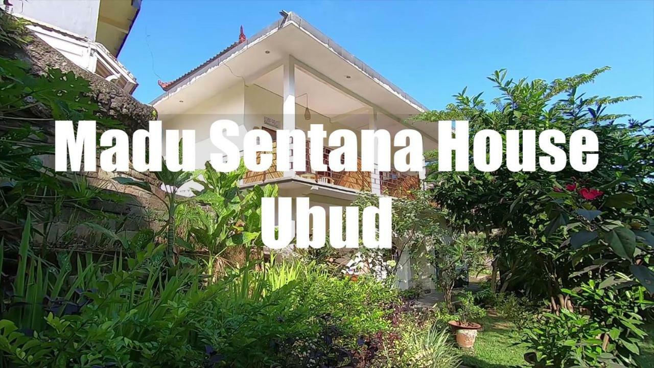 فندق Madu Sentana House أوبود المظهر الخارجي الصورة